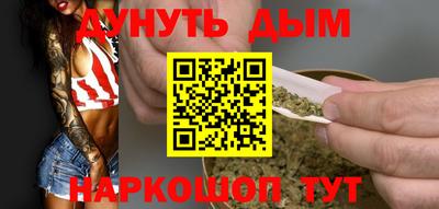 сатива Краснознаменск