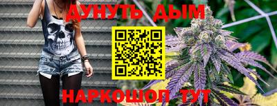 сатива Краснознаменск