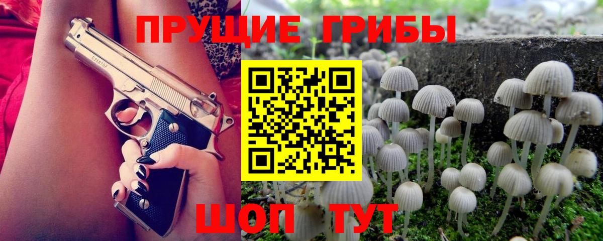 Коломна  Псилоцибиновые грибы Psilocybe  Вход с VPN 